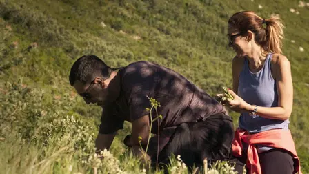 The Recipe for Balance