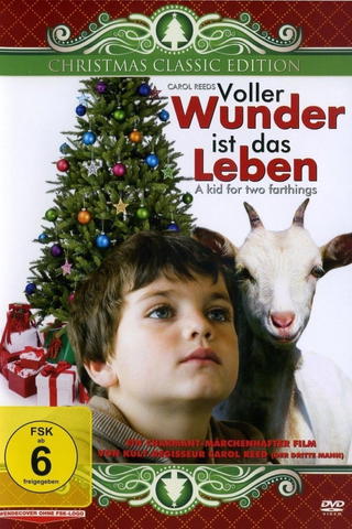 Voller Wunder ist das Leben