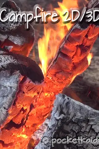 Campfire 2D