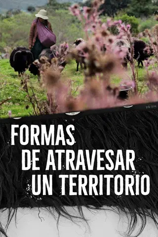 Formas de atravesar un territorio