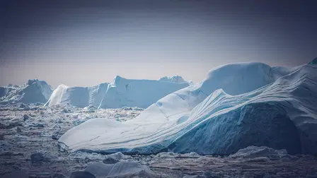 Snowhow - Den nordiska vintern