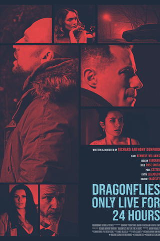 Dragonfiles Only Live for 24 Hours