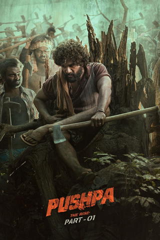 Pushpa : The Rise