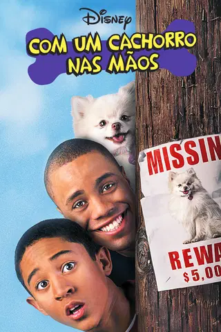 Com Um Cachorro nas Mãos