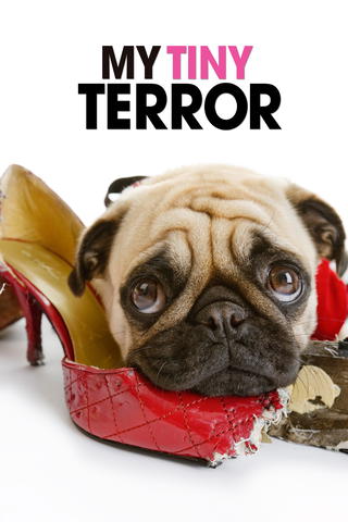 My Tiny Terror