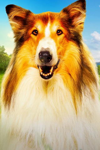 Lassie. Nowe przygody