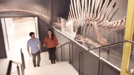 Disney+ Insider: National Geographic Museum of Exploration