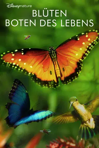 Blüten - Boten des Lebens