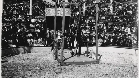 The Great Circus Catastrophe