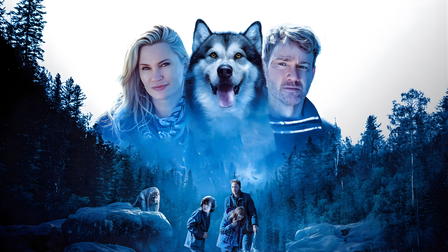 Hero Dog: The Journey Home