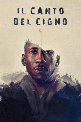 Il canto del cigno