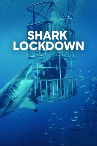 Shark Lockdown