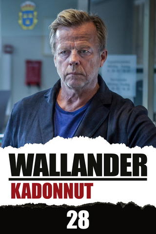Wallander: Kadonnut