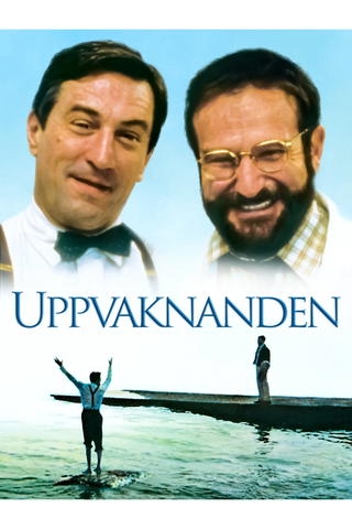 Uppvaknanden