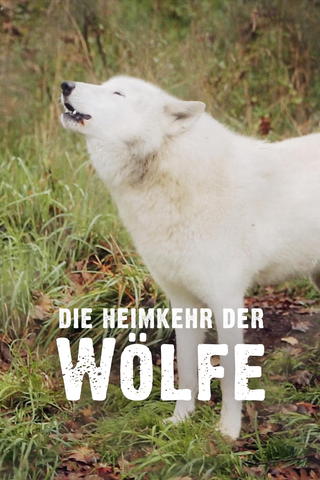 Die Heimkehr der Wölfe