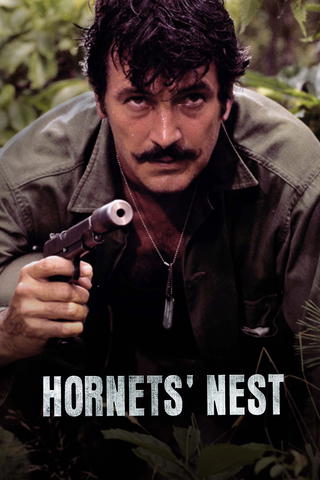 Hornets' Nest (1970)