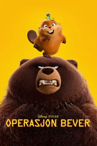 Operasjon bever