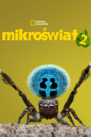 Mikroświat