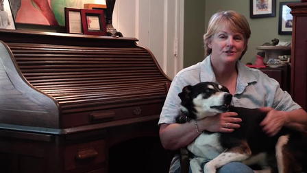 Old Friends: A Dogumentary