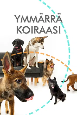 Ymmärrä koiraasi