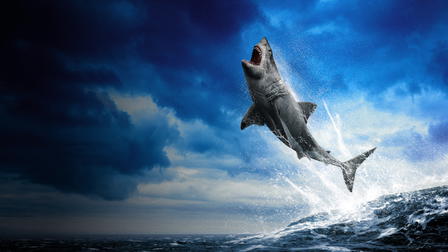 Tiburones voladores: saltos icónicos