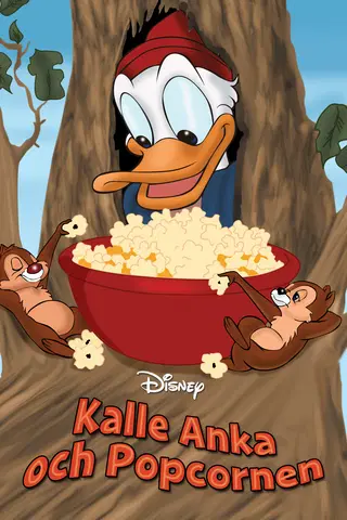 Kalle Anka jagar tjuvar