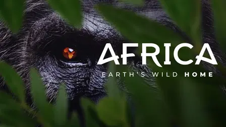 Africa: Earth’s Wild Home