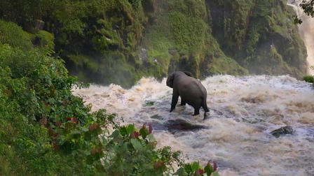 Africa Earth's Wild Home