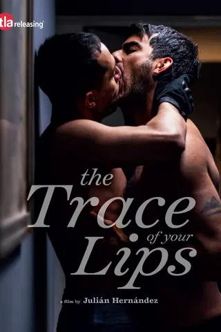 The Trace of Your Lips