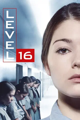 Level 16