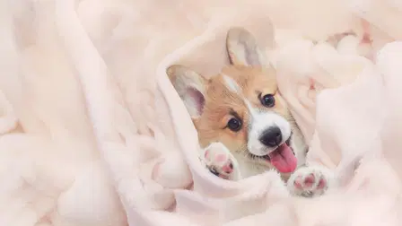 Too Cute!