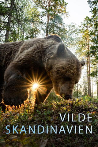 Vilde Skandinavien