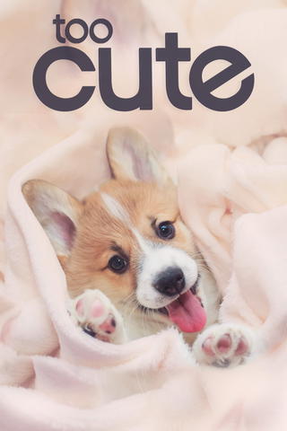 Too Cute!