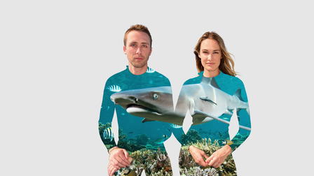 Nuclear Sharks