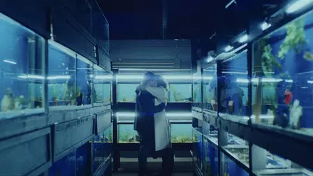 Little Fish