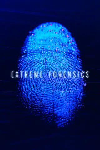 Extreme Forensics