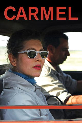 A través del Carmel