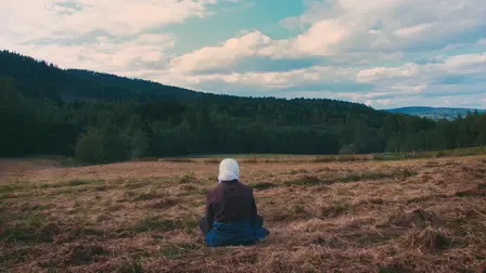 Homeland