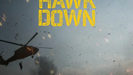 The True Story of Black Hawk Down