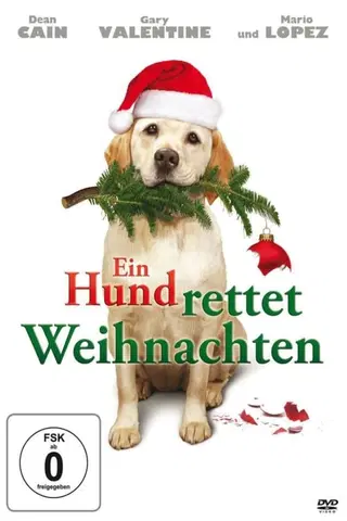 Ein Hund rettet Weihnachten