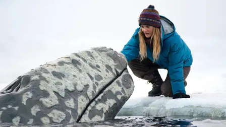 Big Miracle