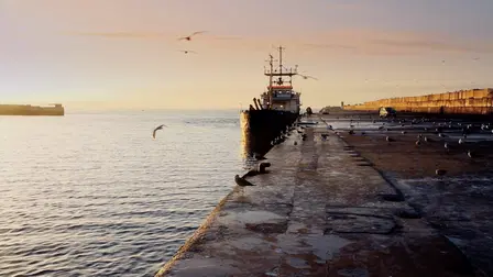 Sea Change