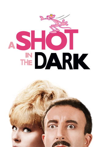 Skott i mörkret