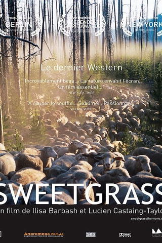 Sweetgrass