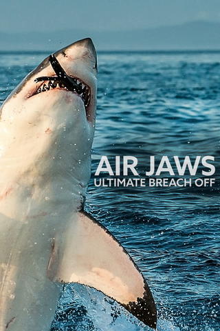 Tubarões Voadores: A Caçada