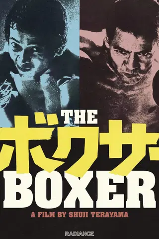 Boxer