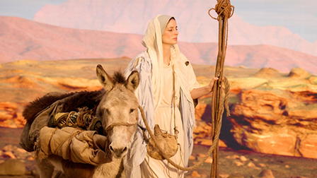 I Am The Immaculate Conception