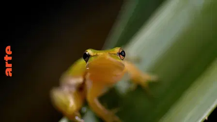 Australie : l'odyssée sauvage