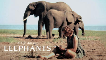 Une vie parmi les éléphants