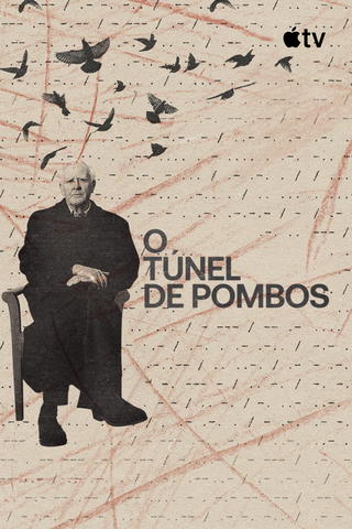 O Túnel de Pombos